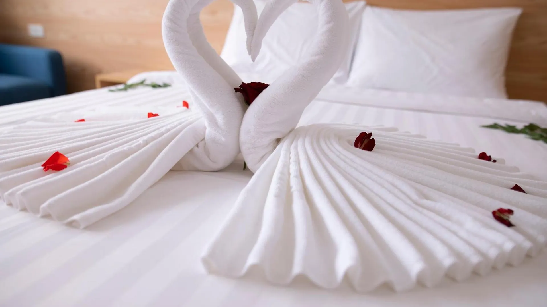 Lejlighedshotel Dolphin Hotel Nha Trang Vietnam